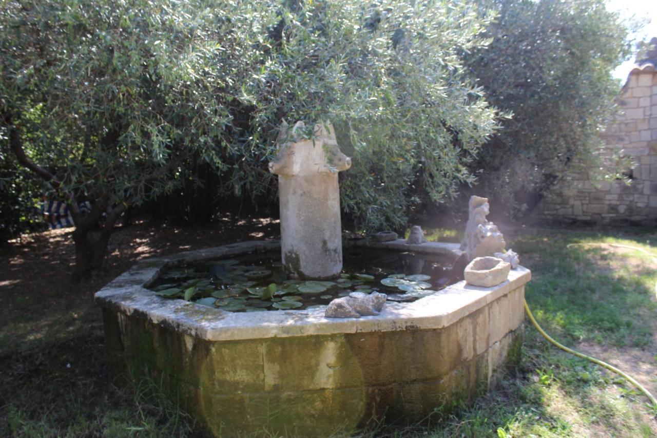 Le Mas De Lucien Entre Arles, Nimes, Avignon. 博凯尔 外观 照片