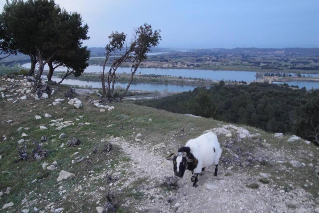 Le Mas De Lucien Entre Arles, Nimes, Avignon. 博凯尔 外观 照片