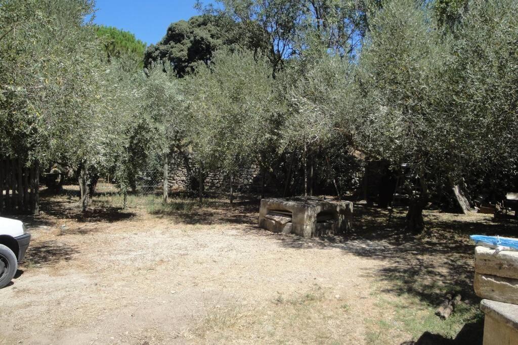 Le Mas De Lucien Entre Arles, Nimes, Avignon. 博凯尔 外观 照片