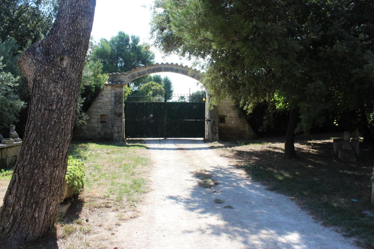 Le Mas De Lucien Entre Arles, Nimes, Avignon. 博凯尔 外观 照片